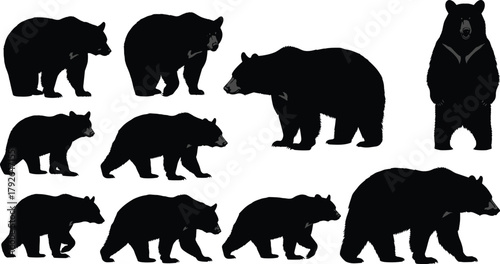 Silhouette bears in various walking and standing poses, wildlife vector set for forest animal design, nature themes, and educational use.