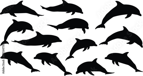 Silhouette dolphins swimming in various dynamic poses, leaping, diving, gliding—marine animal vector set for ocean wildlife design themes.