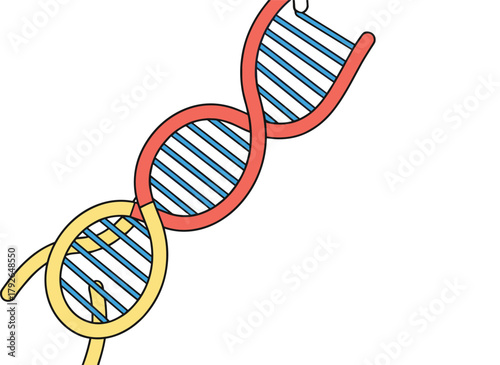 DNA double helix illustration with colored strands and base pairs, stylized vector design for genetics, biology, and molecular science concept