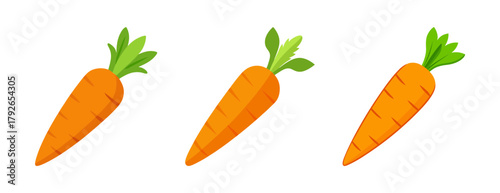 Three vibrant orange carrots with green tops isolated on white