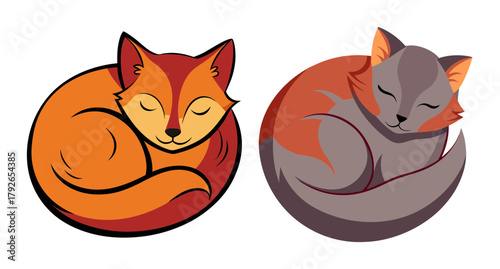 Two adorable sleeping foxes curled up together isolated graphic
