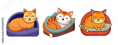 Adorable orange cats sleeping peacefully in their cozy beds