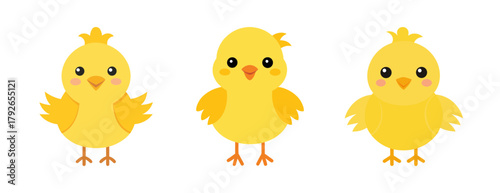 Three adorable yellow baby chicks standing together isolated