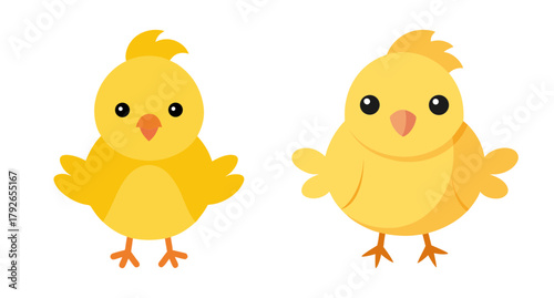 Cute baby chicks isolated on for spring and easter