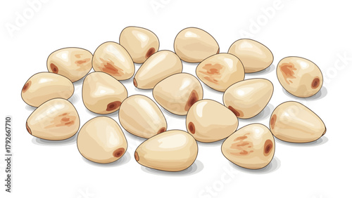 A scattering of raw pine nuts on a white background