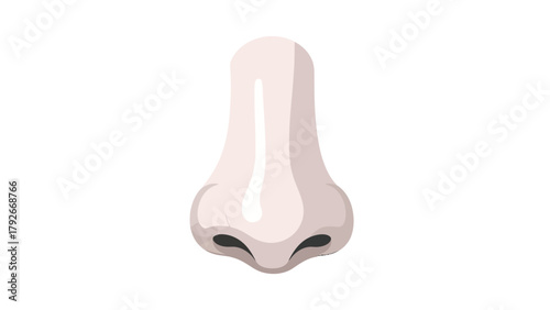 A stylized illustration of a human nose with shading