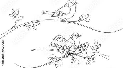 Photos Minimalist Vector Line Art of Small Songbirds Perched on Flowing Branches with Leaves: Elegant Outline Design for Nature, Love, and Spring Themes