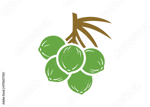 a collection of dangling coconut logo vector icon design illustration template

