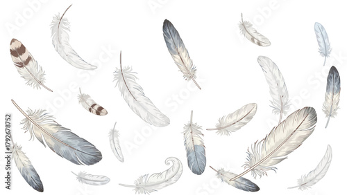 An assortment of white and gray feathers scattered across a white background