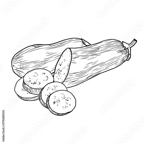 Eggplants whole and cut into rings, black and white sketch. Vector illustration. Vegetables isolated on a white background. Suitable for the theme of cooking, canning, menus and recipes.
