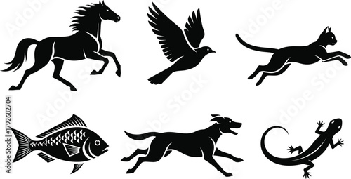 Animal, silhouette, motion, horse, bird, cat, fish, dog, lizard, flying, running, swimming, crawling, black, white, illustration, movement, wildlife, dynamic, leaping