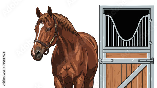 Brown horse with a white blaze on its face stands next to an open stable door