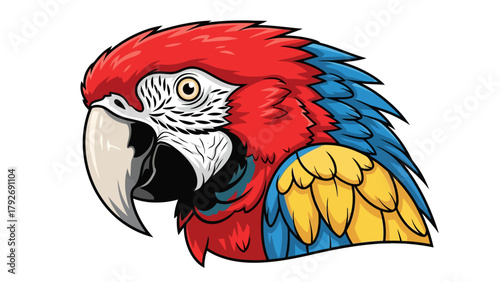 Closeup cartoon illustration of a macaws head