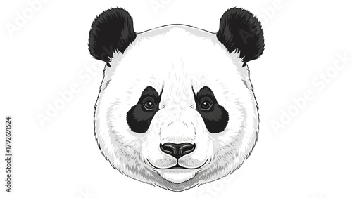 Closeup illustration of a pandas face on a white background