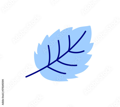 Blue mint leaf. Vector isolated hand drawn illustration.