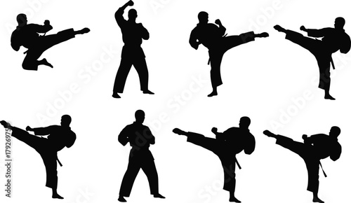 Martial, arts, silhouette, kick, pose, strike, defense, black, white, illustration, movement, action, combat, training, athlete, dynamic, posture, fighting, technique, artwork