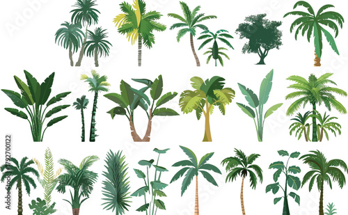 vector set of palm trees, banana trees, and other tropical plants on a white background. flat cartoon vector illustration collection. isolated simple flat icon design. illustration of various green pl