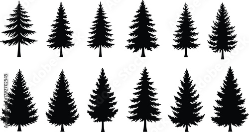 Conifer tree silhouettes, pine, fir, spruce, evergreen forest icons, black vector trees, nature clipart, isolated graphic elements