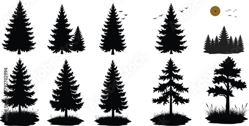 Conifer tree silhouettes, pine, fir, spruce, forest vector, birds flying, sunset scene, nature clipart, black graphic elements