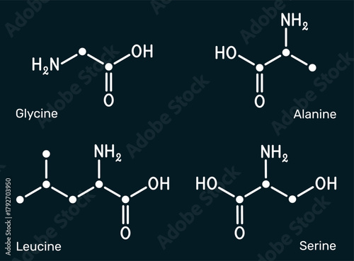 Amino acids glycine (Gly), alanine (Ala), serine (Ser) and leucine (Leu) molecular structures. Dark blue background. Vector illustration