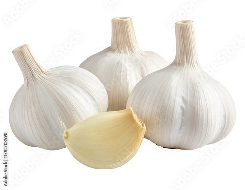 garlic isolated on white background
