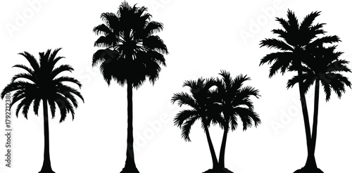 Palm tree silhouettes, tropical design, black illustration, nature icons, exotic foliage, landscape element, botanical shapes, beach vibe, vector trees, minimal art