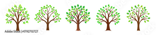 Simple stylized trees with green buds against a light background