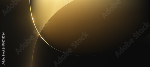 Luxury gold black curve background, abstract elegant background vector for branding presentation