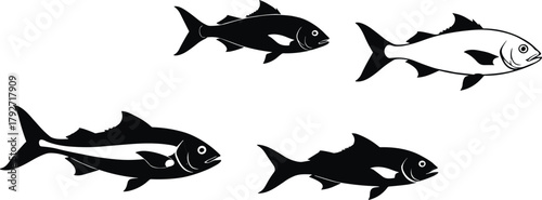 Stylized fish illustration, black and white, aquatic design, marine life, fish silhouette, vector art, underwater theme, graphic, pattern, species