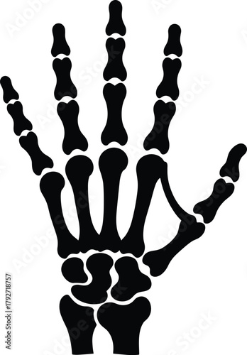Human skeleton hand bones illustration, detailed x-ray anatomy drawing, medical science design, black and white skeletal hand vector art