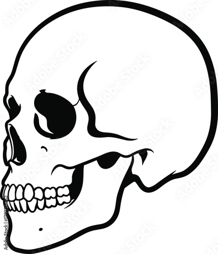 Human skull side view outline drawing, detailed bone anatomy illustration, spooky halloween art, black and white skull vector design