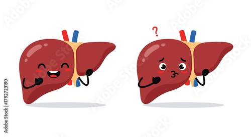 Understanding the liver's vital functions and its impact on overall health.