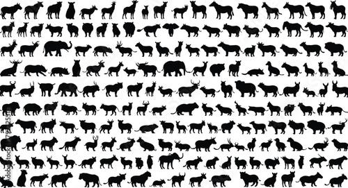 Wild animal silhouettes collection, vector wildlife shapes, forest and savanna animals, mammals, nature, zoo, jungle, fauna, design elements set