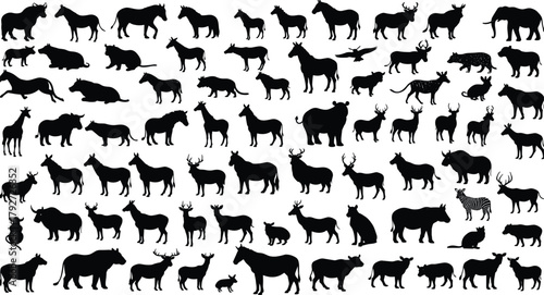 Wild animal silhouettes set, vector wildlife shapes, jungle and forest animals, mammals, nature, zoo, fauna, illustration, black design collection