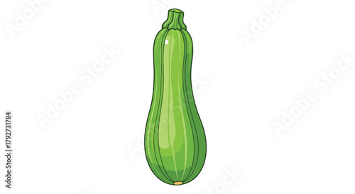 A single green zucchini vegetable with a smooth surface and a slightly curved shape, isolated on a white background.