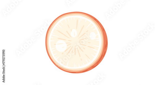 A graphic, top-down view of a stylized round fruit slice, possibly an orange or grapefruit, with a textured peel and radiating inner segments.