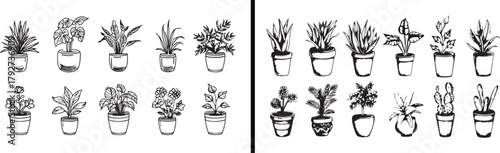 Indoor Succulent Illustration, Flower Pot Doodle, Home Plant Sketch, Botanical Art Vector, Decorative Pots Clipart, Succulent Plant Drawing, Green Leaf Outline, Minimal Garden Design, Cute Plant Carto