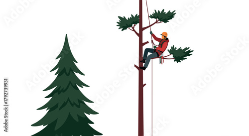 Arborist climbing tall tree for maintenance next to pine tree in simple design