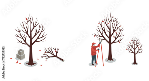 Isometric tree pruning gardener trimming branches in winter for plant maintenance