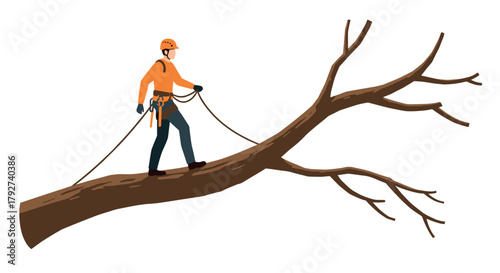 Arborist balancing on tree limb in safety gear for tree maintenance
