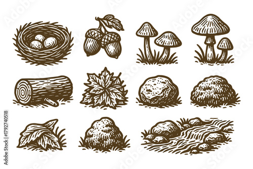 Rustic nature elements: acorns, mushrooms, and forest treasures in vintage style