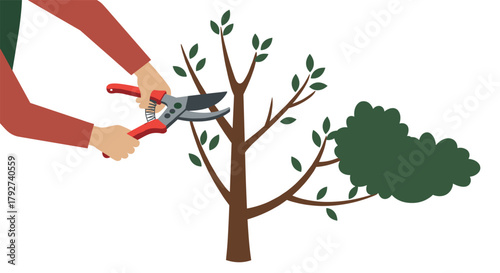 Pruning tree illustration showing gardening techniques for healthy plant growth