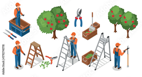 Gardener and ladder tools in isometric style with apple trees and pruning equipment