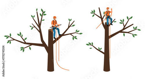 Tree climbing arborists in action safety gear and techniques in tree maintenance
