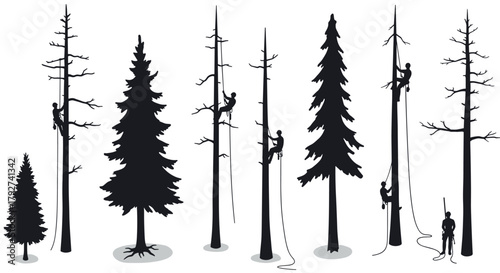Silhouette climbers ascending tall trees in forest scene