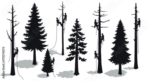 Silhouette climbers ascend various trees in engaging outdoor adventure scene
