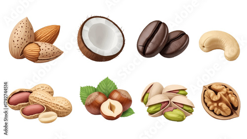 Vector illustration of assortment of nuts and coffee beans on a transparent background