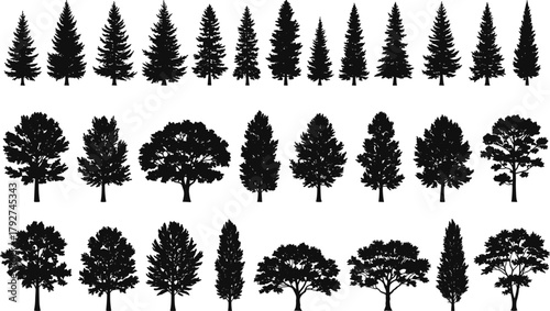 Tree silhouette variety set, conifer and deciduous comparison, foliage shape diversity, botanical vector illustration, forest design elements, nature themed graphic collection