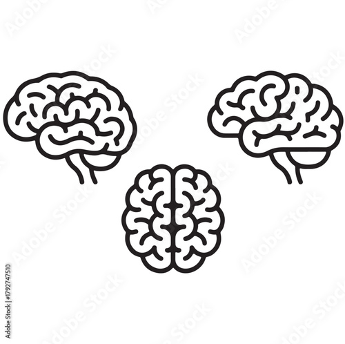 Minimal brain icon set showing outline anatomy in a clean design