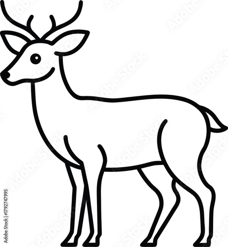 Simple Line Art Illustration of a Deer with Antlers Standing